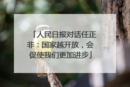 人民日报对话任正非：国家越开放，会促使我们更加进步